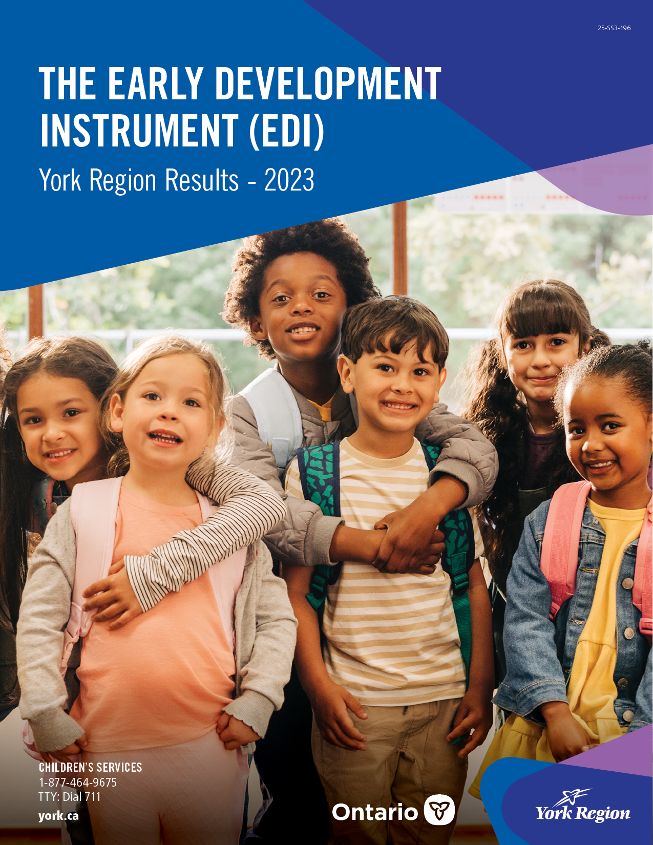 early development instrument report cover page