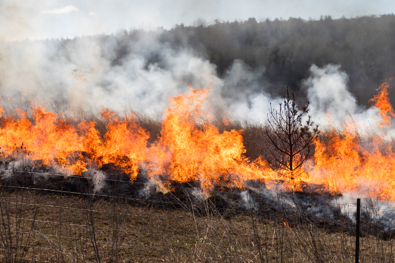 Bendor and Graves Controlled Burn