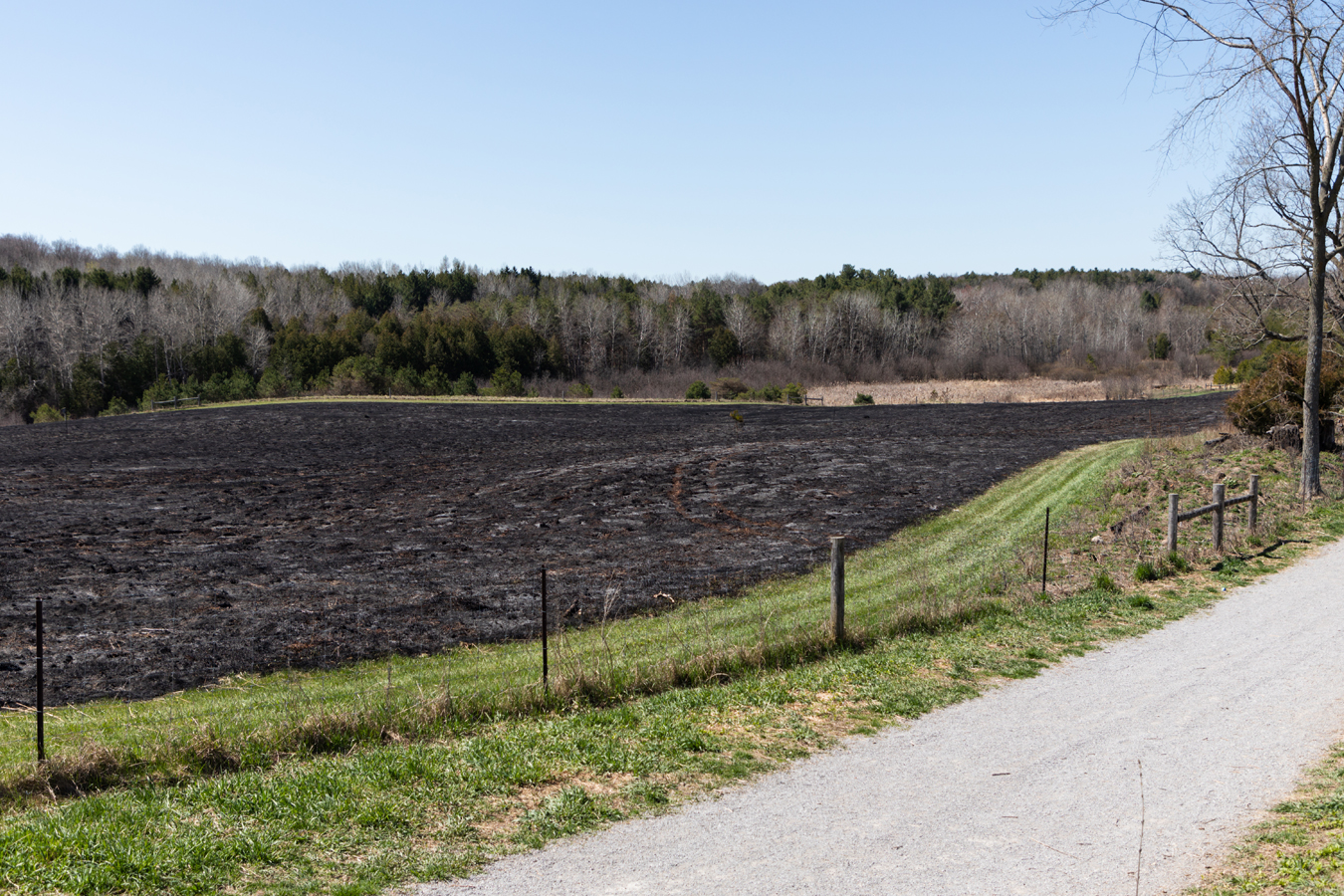 Bendor And Graves After Burn