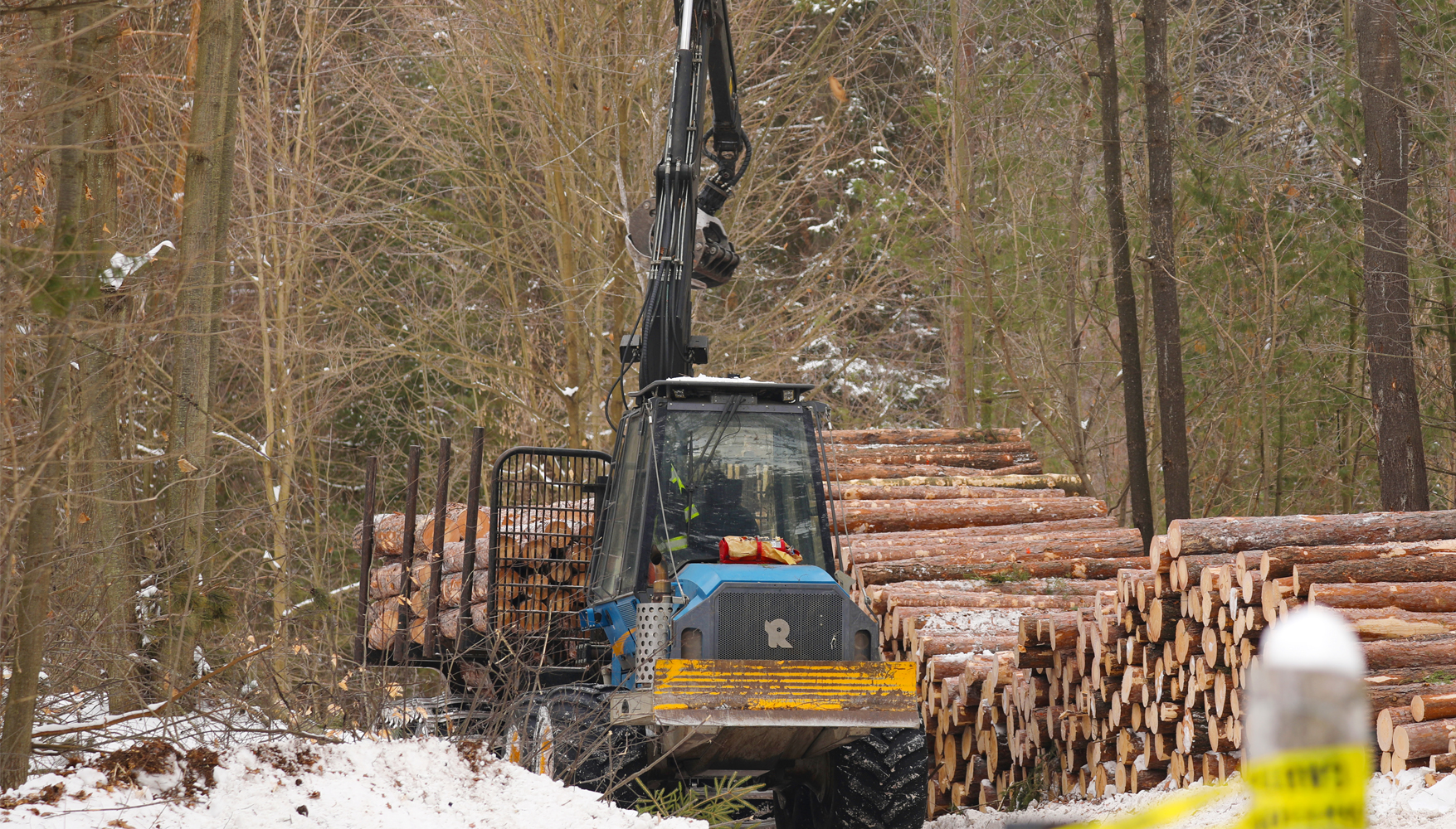 a timber harvest machine loading logs in a forest