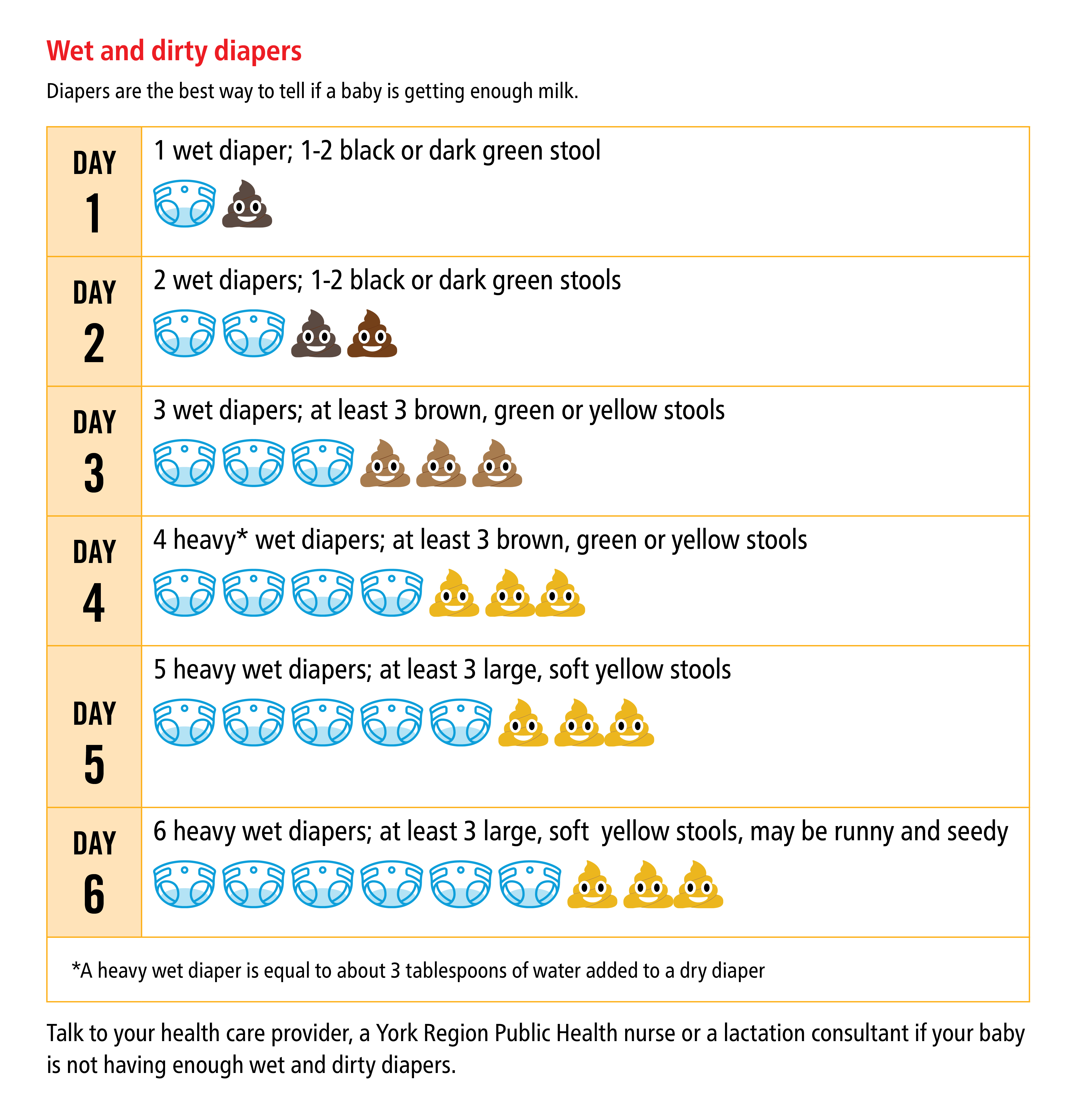 Does Breast Size Matter?  La Leche League Canada - Breastfeeding Support  and Information