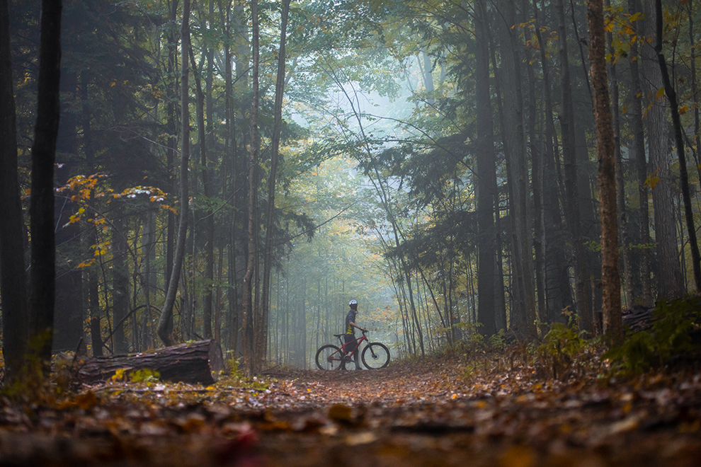 Cyclist on a leaf covered trail in a forest