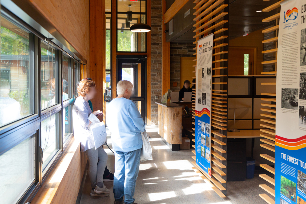 Discovering the history of the forest