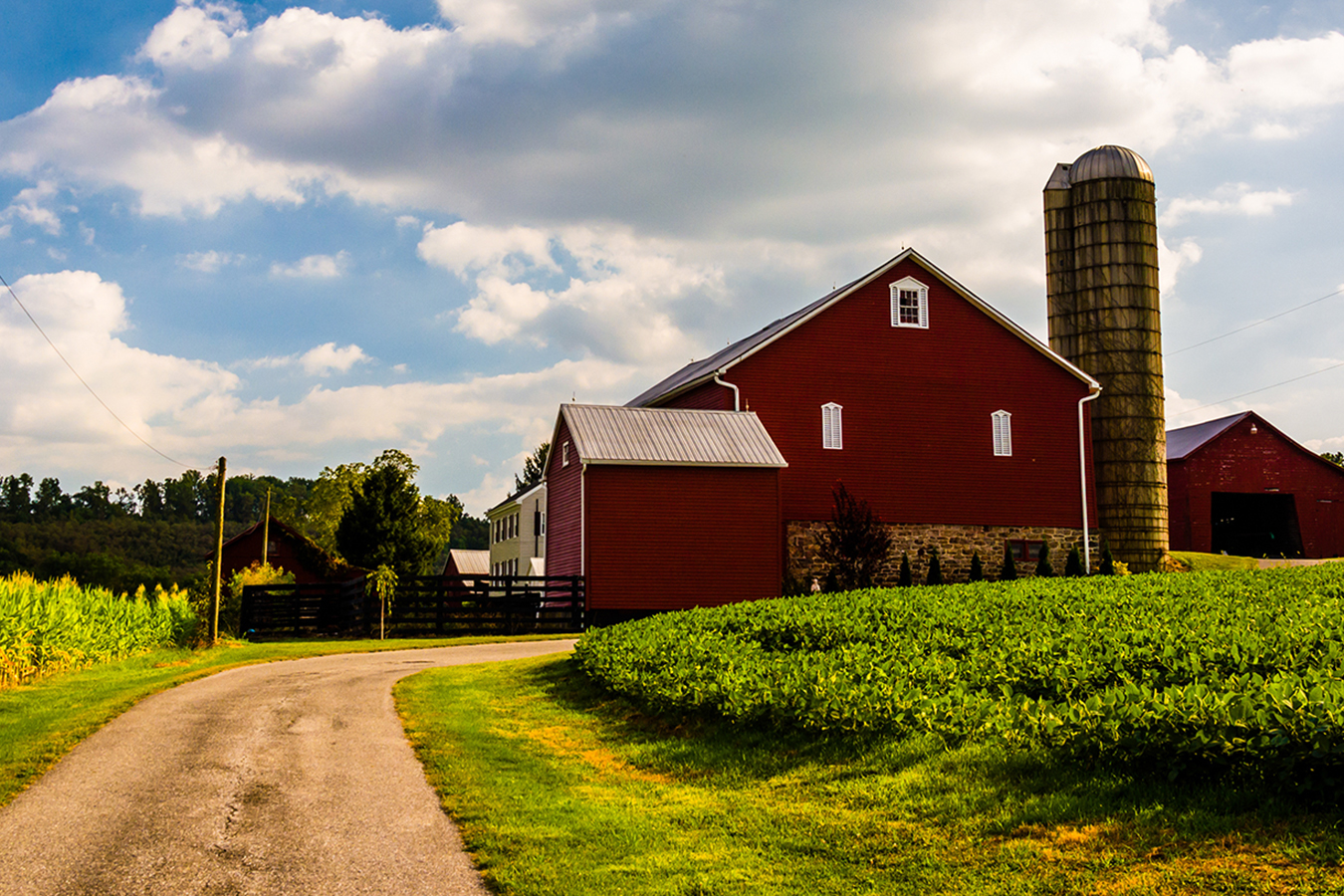 Farm Operators with International Workers