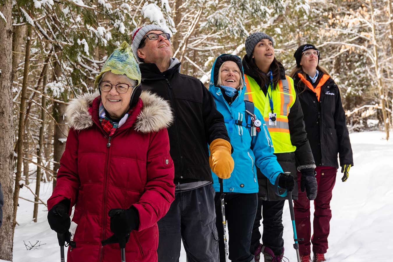 York Regional Forest Walks and Events York Region