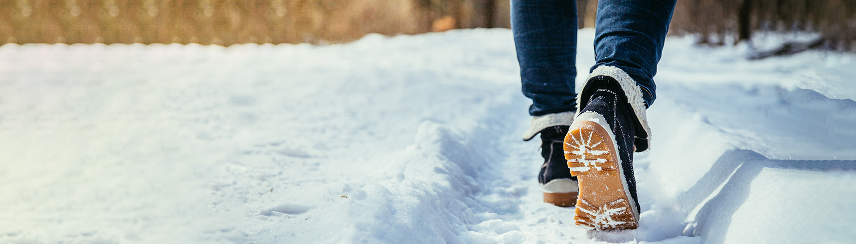 York Regional Forest Walks and Events York Region