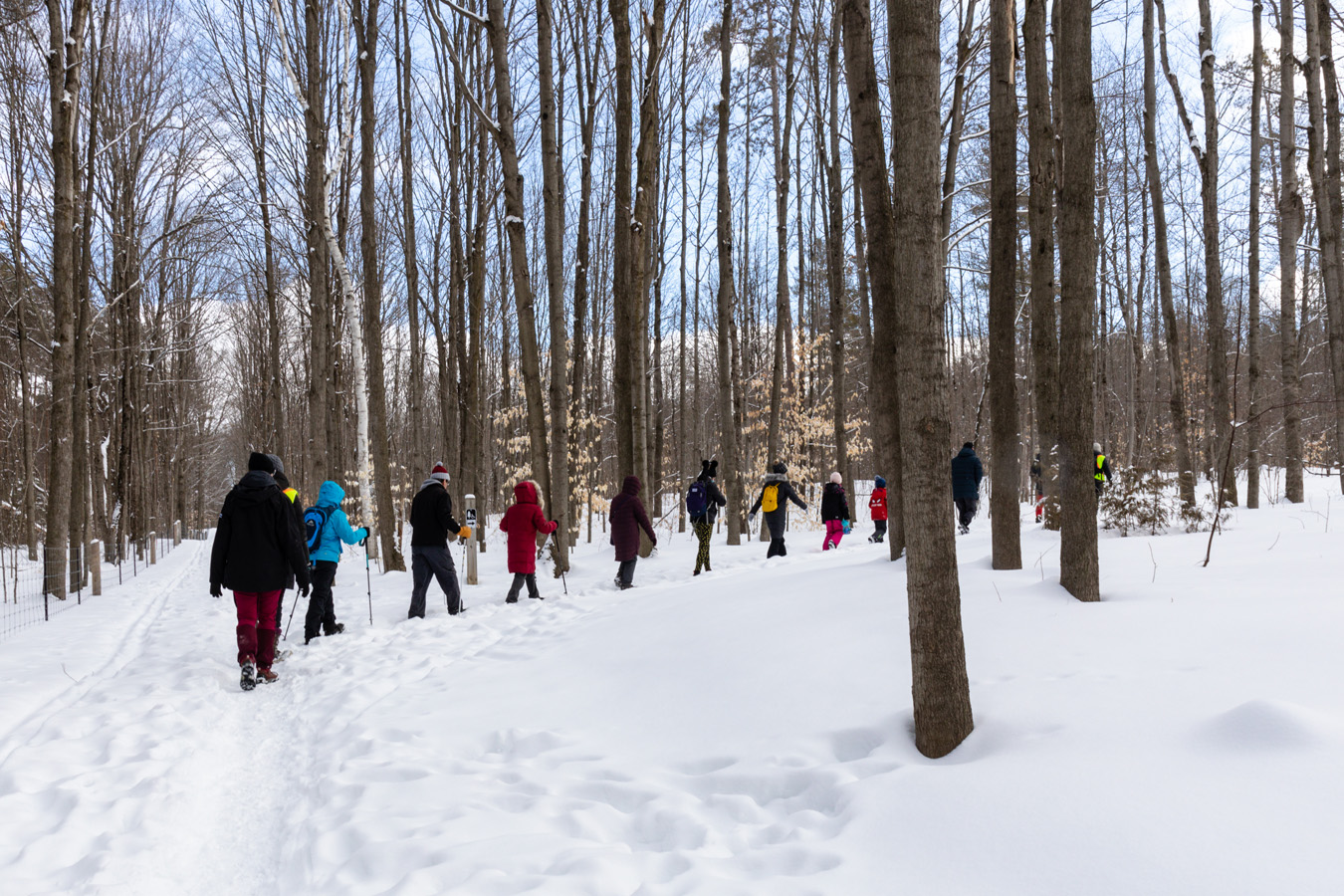 a group of visitors attending the forest walks and events in the winter