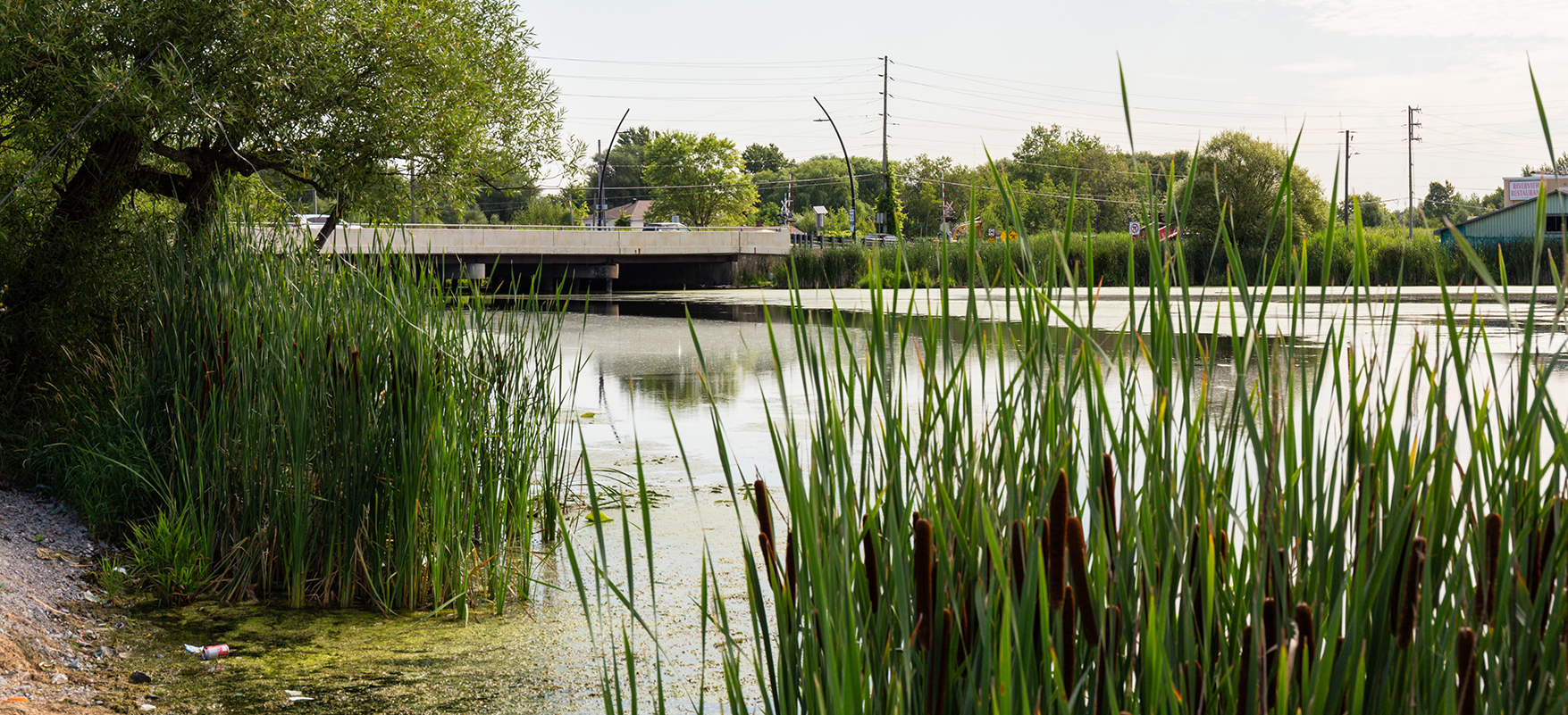 Holland River Bridge