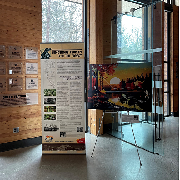 Indigenous artworks on display