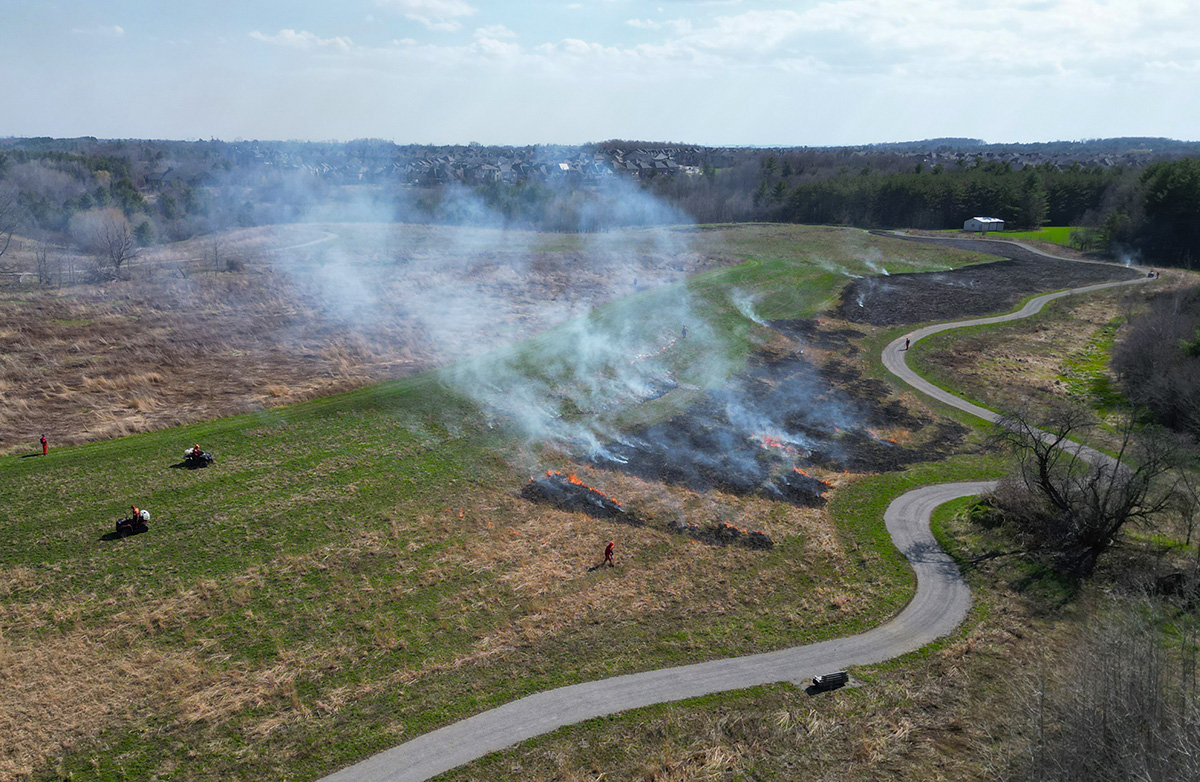COntrolled Burn