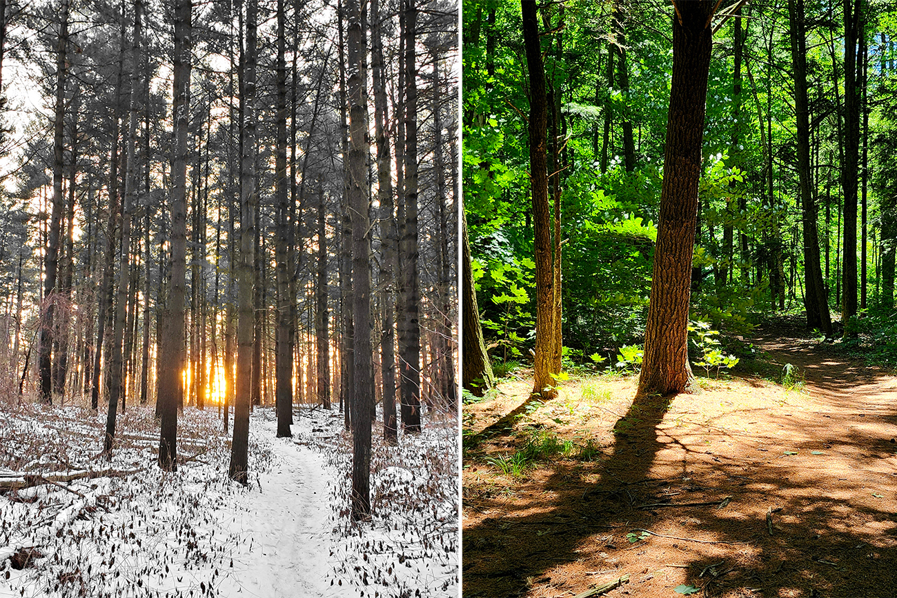 Winter wonderland, and sunshine