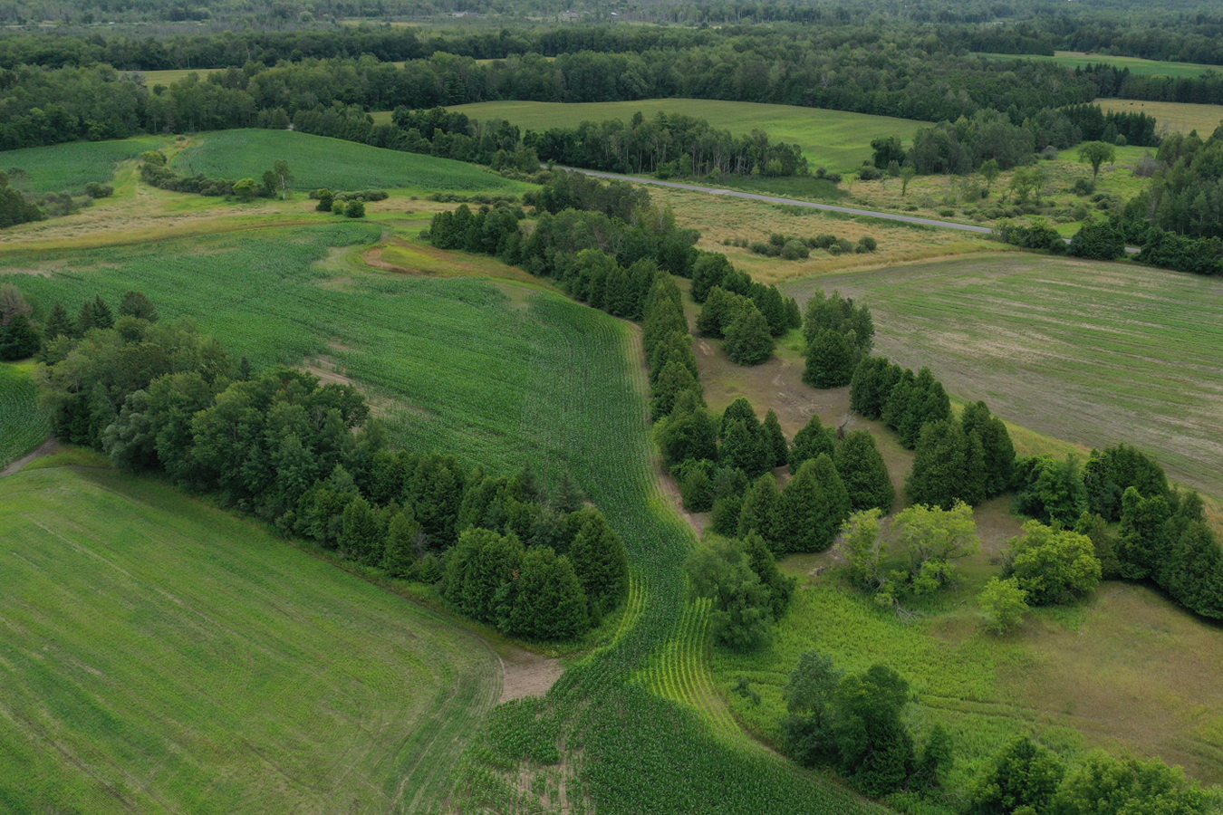 The Queensville Property in the Town of East Gwillimbury