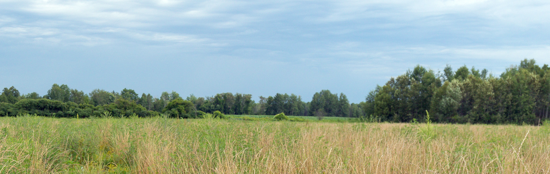 Queensville Property