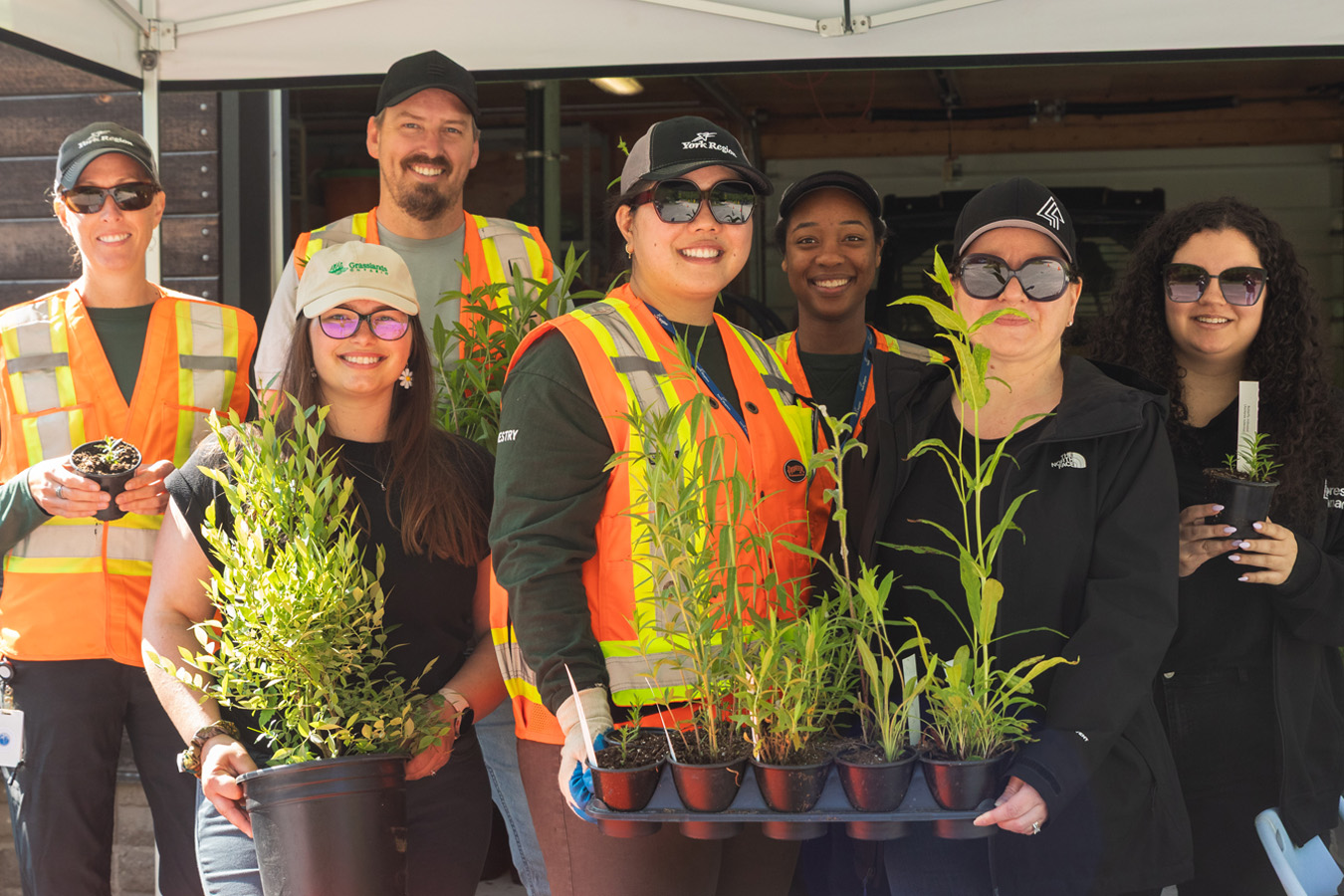 Staff showing their plants at the Take Root Event