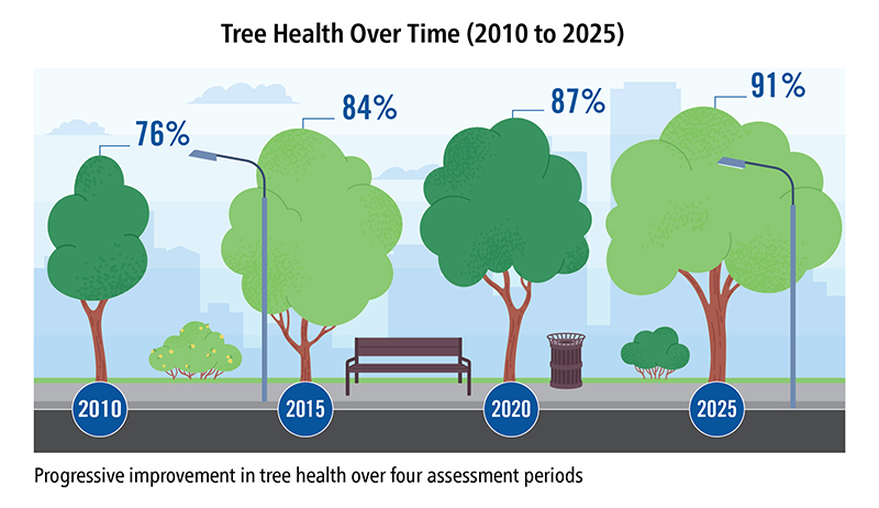 Tree health over time (2010 to 2025), 2010 - 76%, 2015 - 84%, 2020 - 87%, 2025 - 91%, progressive improvement in tree health over four assessment periods