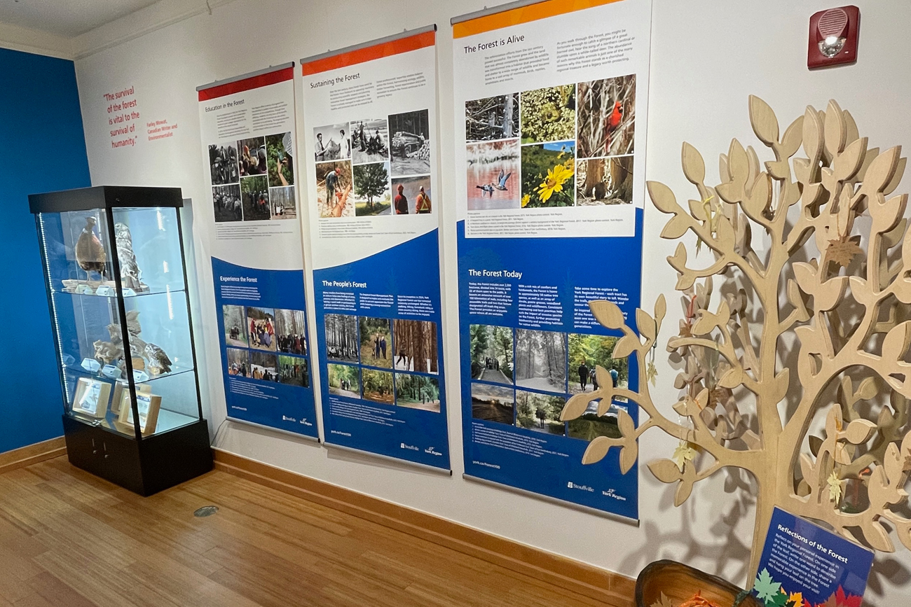 Whitchurch-Stouffville Museum for the historical exhibit