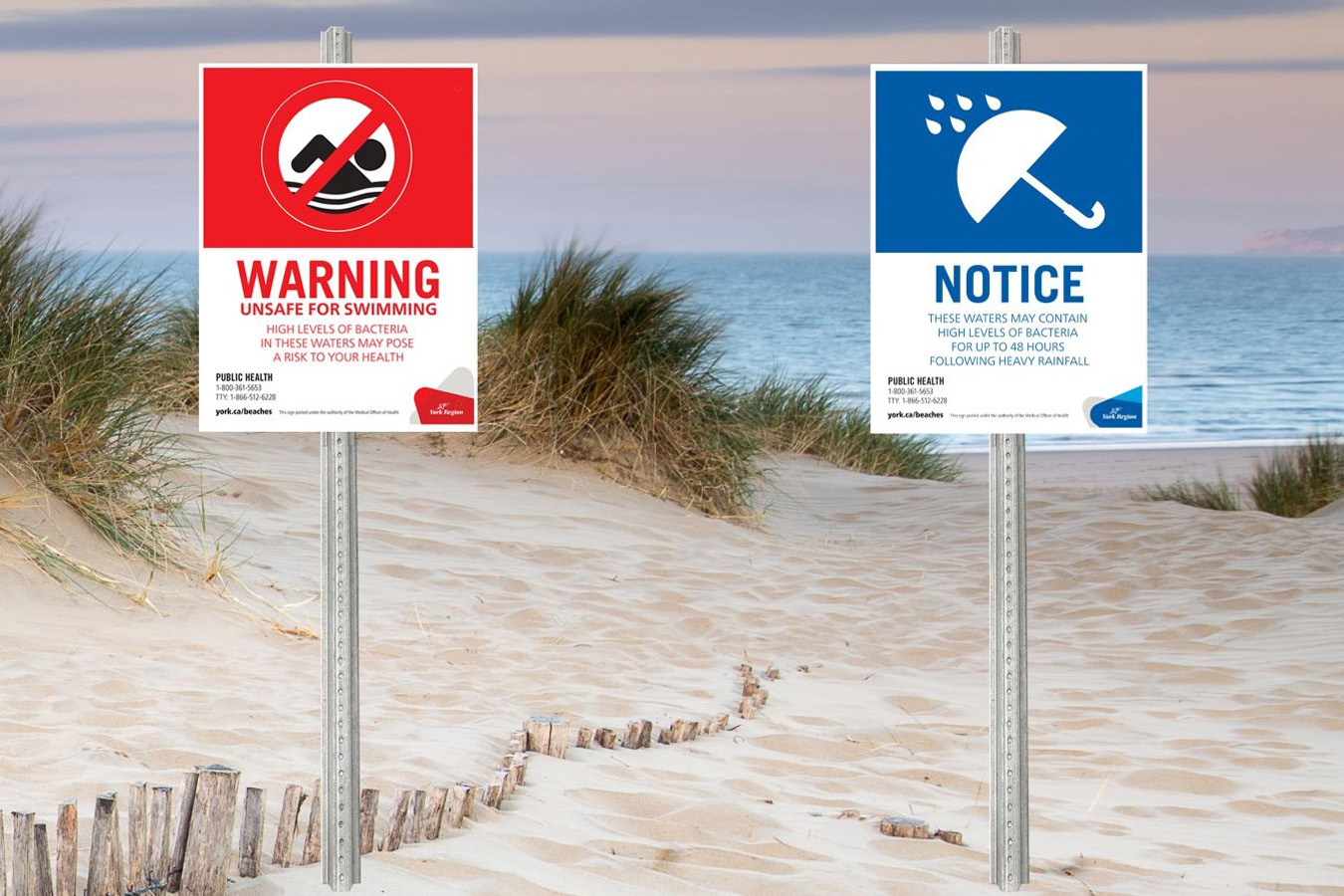 Sandy beach and blue water in the background, with two York Region beach water signs in the foreground. There is a Warning sign, stating: "Warning: Unsafe for Swimming. High levels of bacteria in these waters may pose a risk to your health." The second, Notice sign, states: "Notice: These waters may contain high levels of bacteria for up to 48 hours following heavy rainfall." Both signs include contact information for York Region Public Health: "1-800-361-5653; TTY: 1-866-512-6228; york.ca/beaches"
