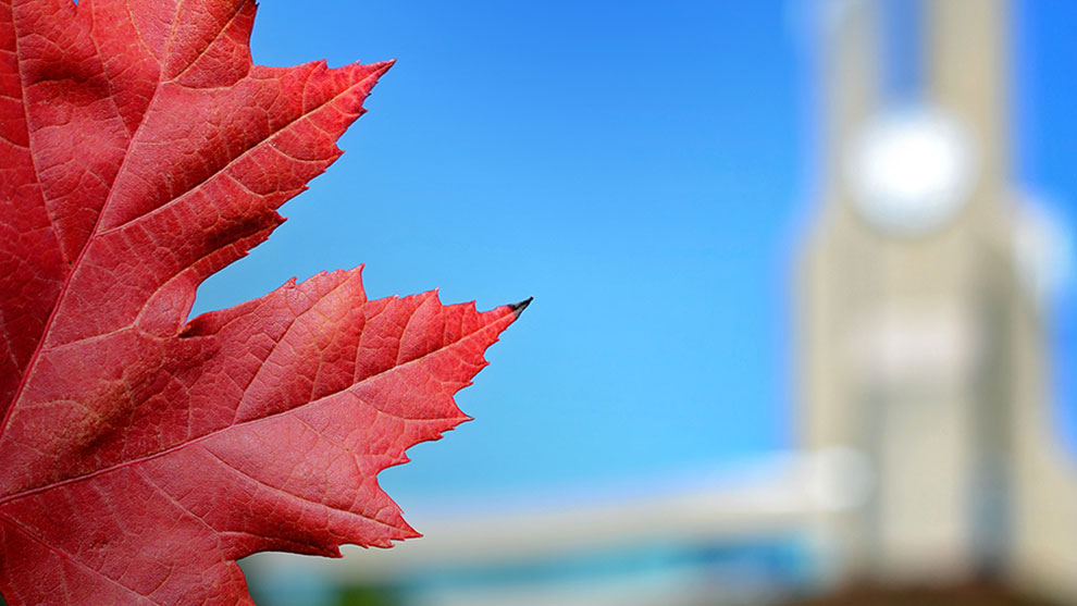 Red maple leaf with York Region Administrative building in the background