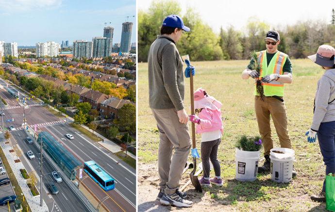 York Region and Tree Planting