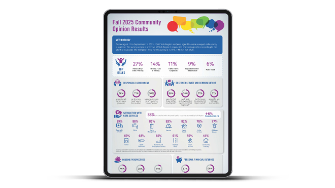 Community Opinion Polling Infographic