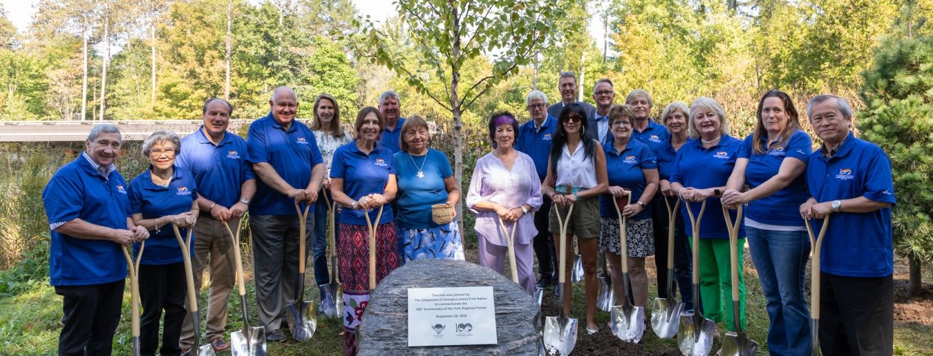 This tree was planted by The Chippewas of Georgina Island First Nation to commemorate the 100th Anniversary of the York Regional Forest, September 20, 2024