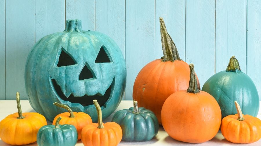 teal and orange coloured pumpkins