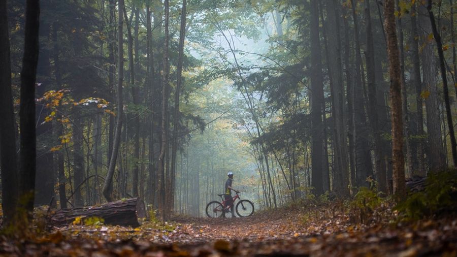 Cyclist on a leaf covered trail in a forest