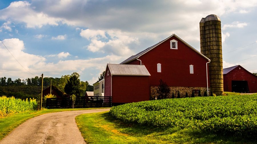 Farm Operators with International Workers