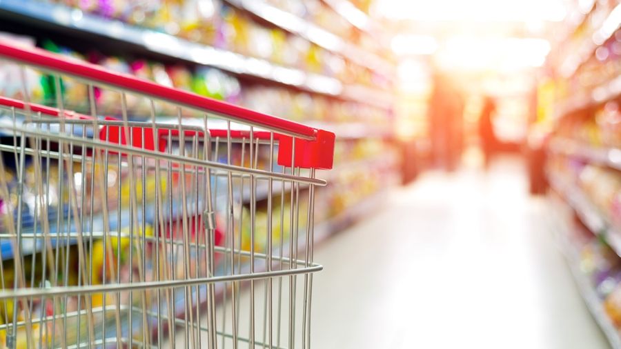 Food Access and Food Insecurity