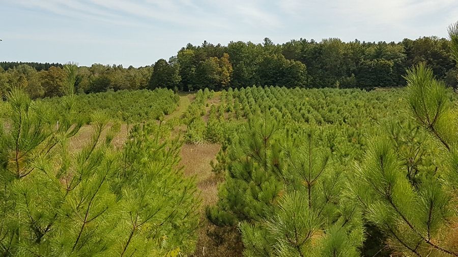 Environmental Land Conservation