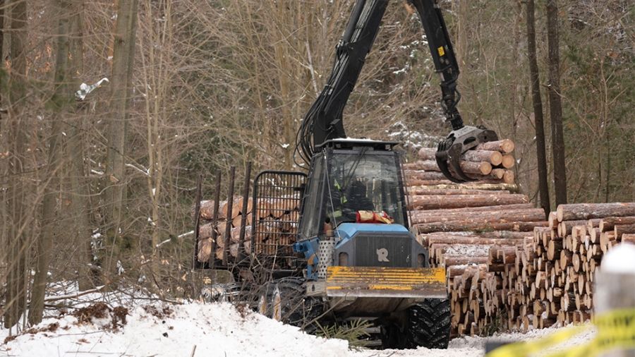 Sustainable Timber Harvest