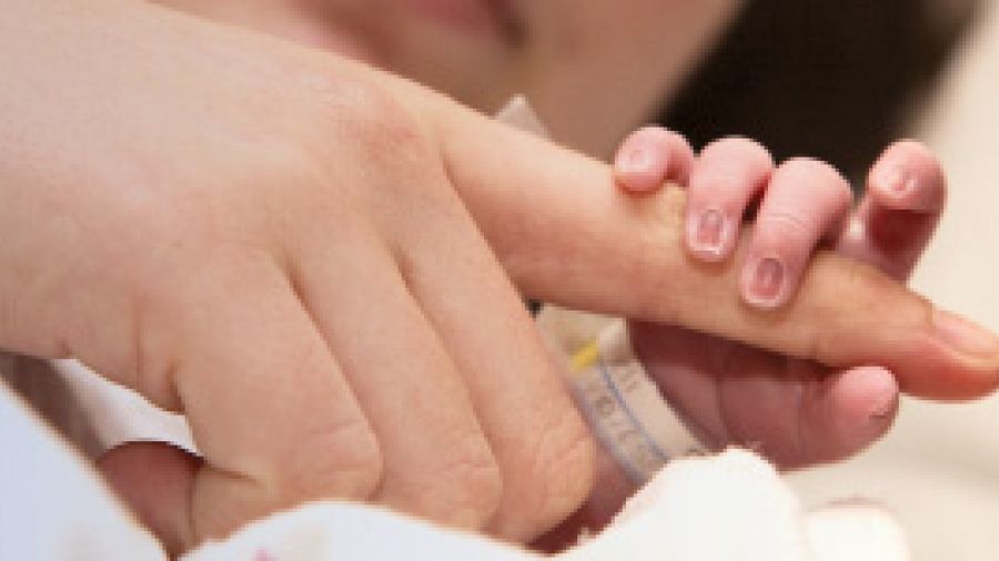 Baby hand holding finger of adult finger.