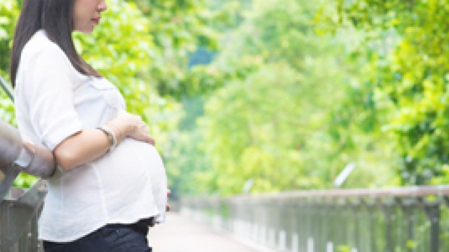 Transition to Parenting Program