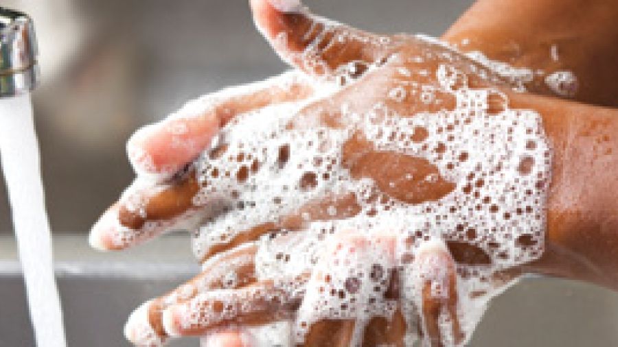 Food Safety at Home