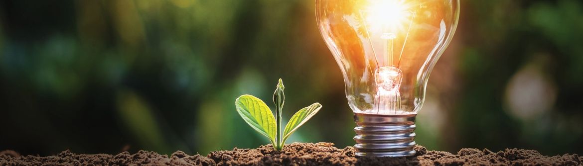 a bright light bulb on soil beside a new plant growing out of the soil
