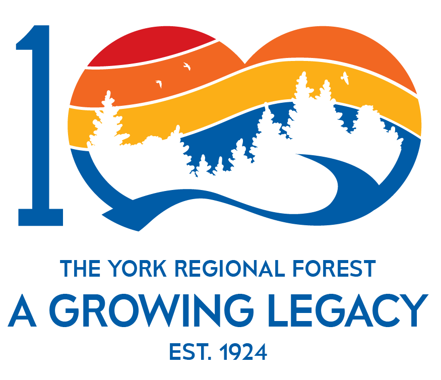 commemorative wordmark