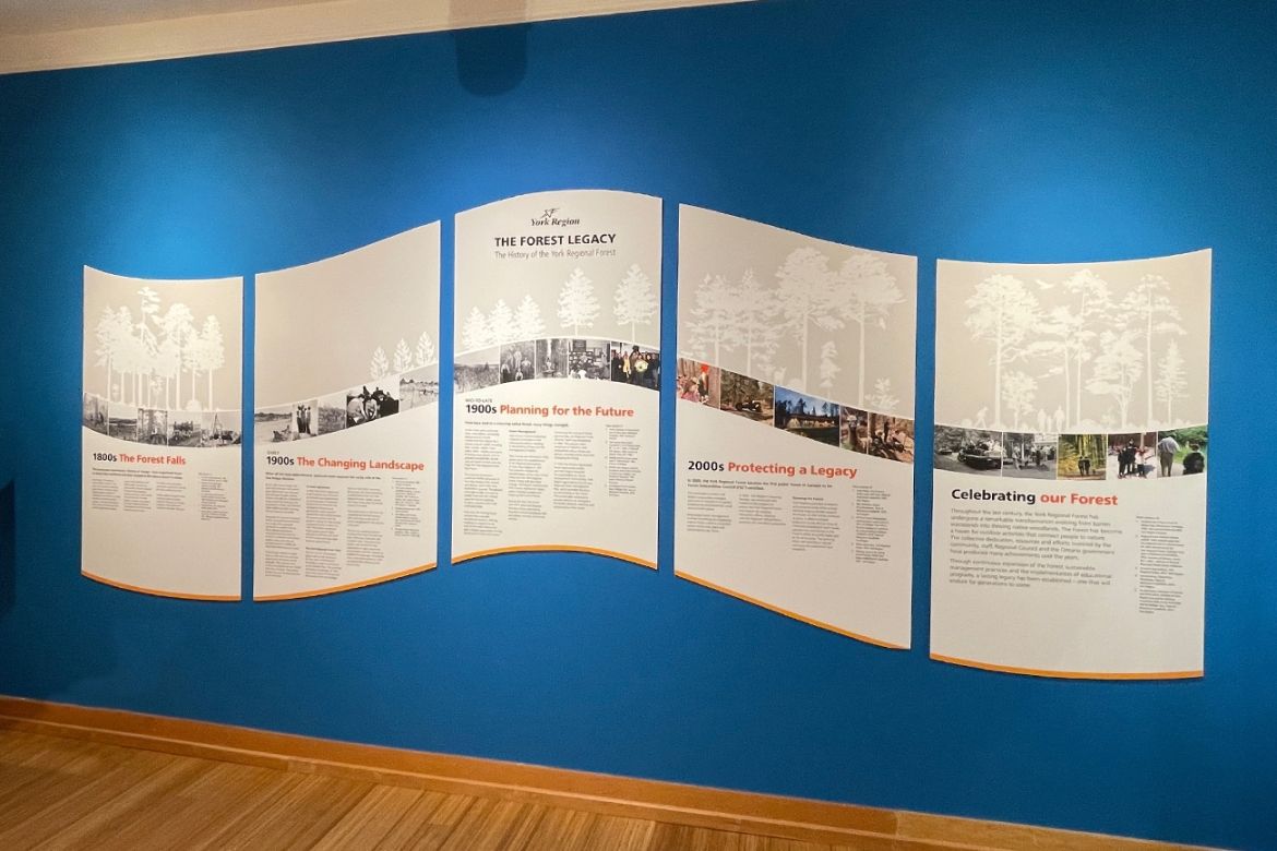Exhibit wall art