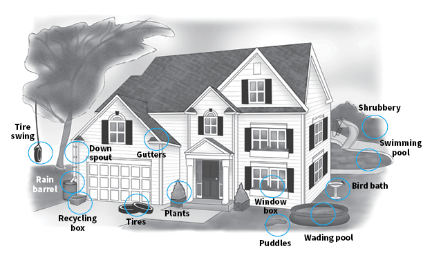 Illustration of a house with areas marked to indicate where mosquitoes may breed