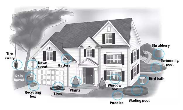 Diagram of areas around a home where standing water might collect and need addressing.