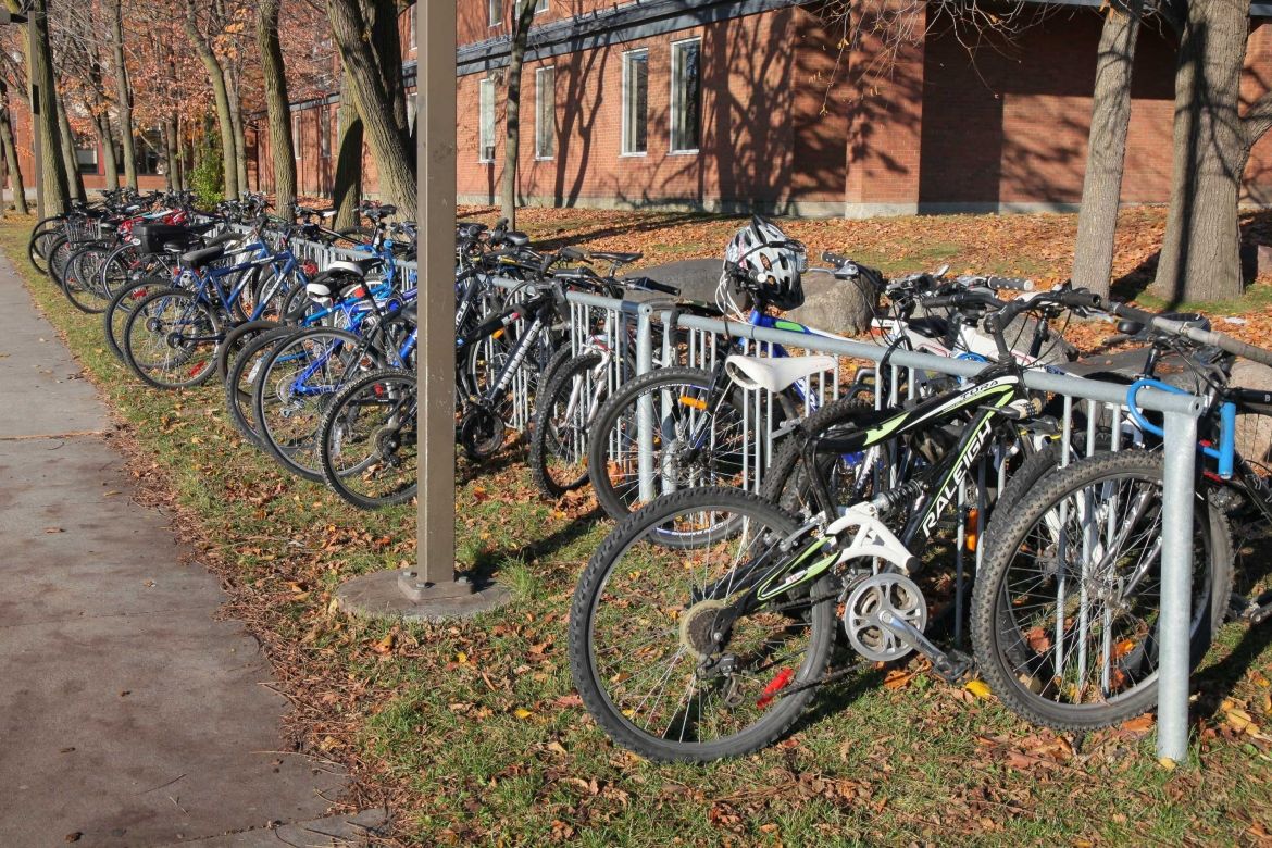 Image of bikes secure to bike racks