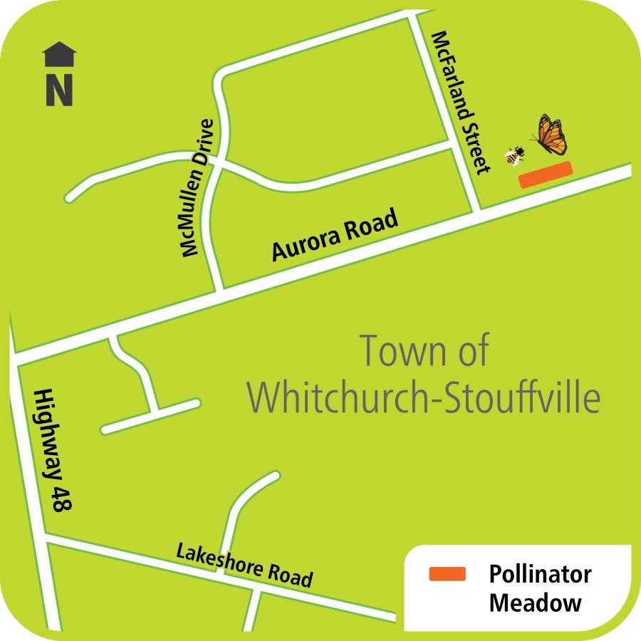 Map showing pollinator area effecting Aurora Road and McMullen Drive