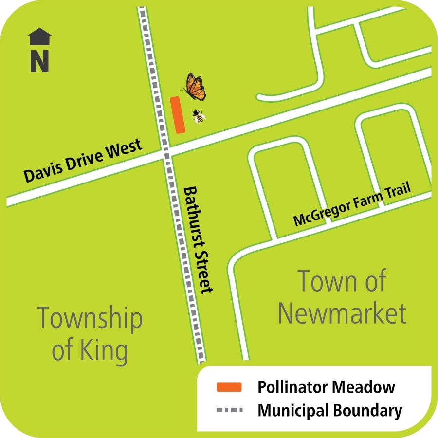 Map showing pollinator area effecting Bathurst Street and Davis Drive