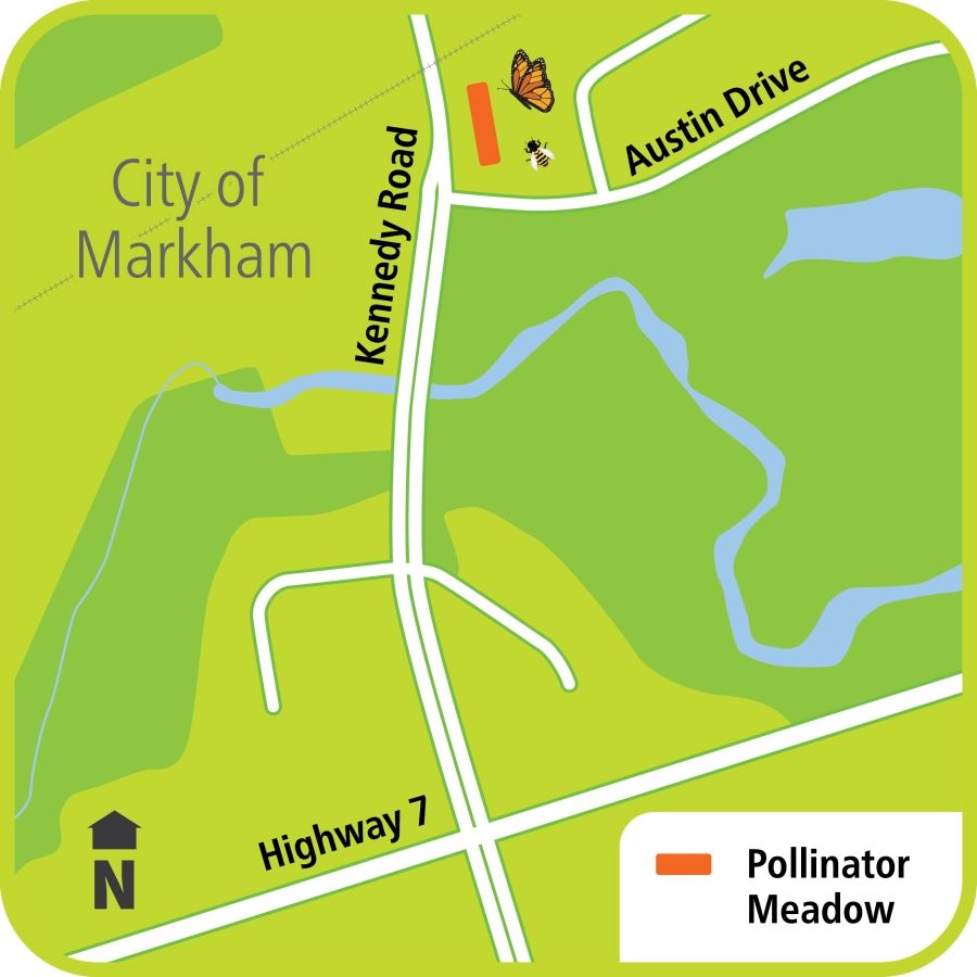 Map showing pollinator area effecting Kennedy Road north of Austin Drive