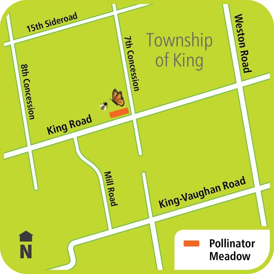 Map is showing pollinator meadows at King Road and 7th Concession