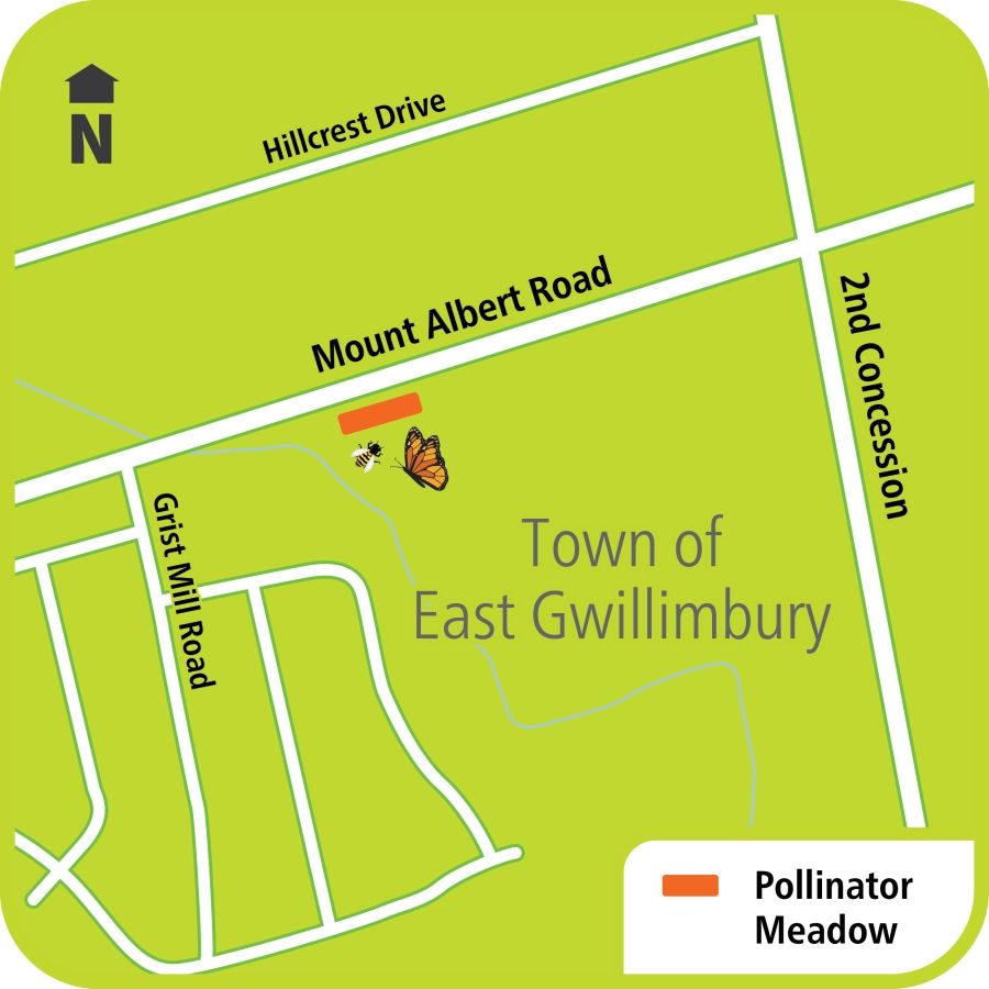 Map showing pollinator area effecting Mount Albert Road west of Woodbine Avenue