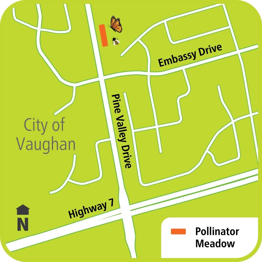 Map showing pollinator area effecting Pine Valley Drive north of Highway 7