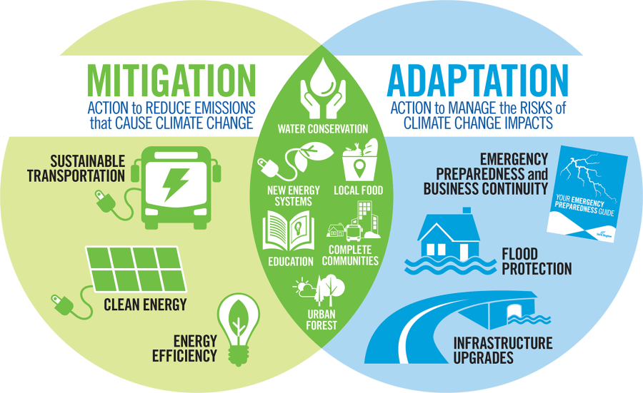 Climate Change mitigation and adaptation infographic showing actions