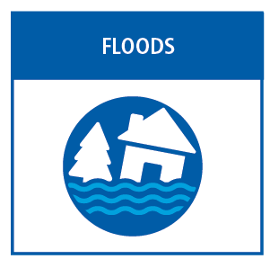 Graphic icon of house and tree in rising water