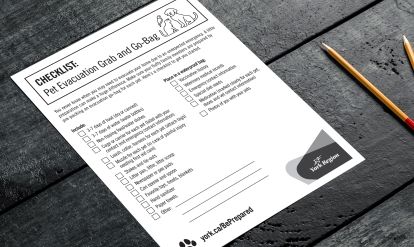 photo of pet checklist on desk with pencils