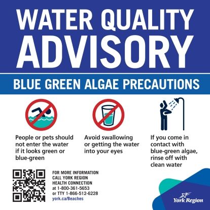 York Region public advisory sign titled 'Water Quality Advisory' with a subheading 'Blue Green Algae Precautions.' It includes three warnings with icons: 1) Do not enter water if it appears green or blue-green (icon of swimmer with red prohibition symbol), 2) Avoid swallowing or getting water in eyes (icon of glass with red prohibition symbol), 3) Rinse off with clean water if exposed (icon of person showering). For more info, call York Region Health Connection or visit york.ca/Beaches.